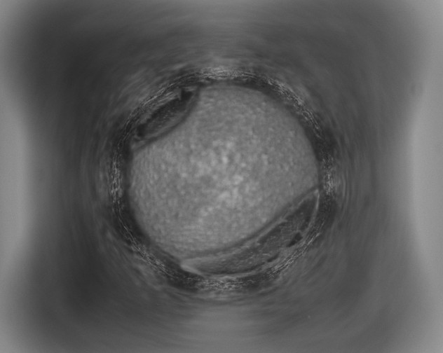 X0000116421253200912150951