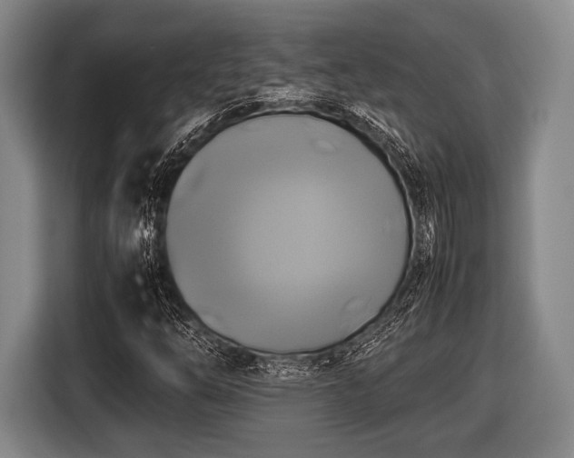 X0000116421254200912150951