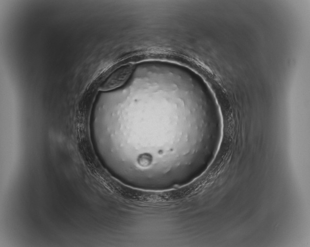 X0000116421255200912150951