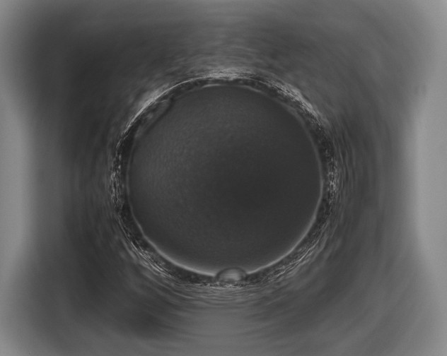 X0000116421256200912150951