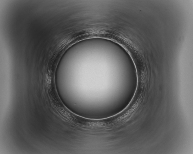 X0000116421257200912150951