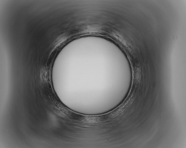 X0000116421258200912150951
