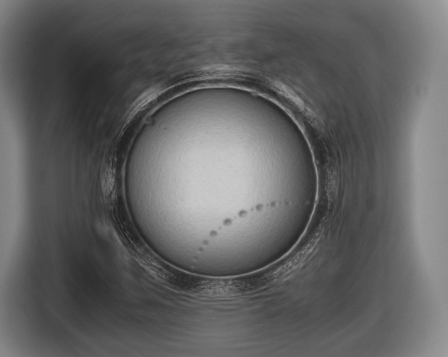 X0000116421259200912150951