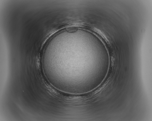 X0000116421260200912150951