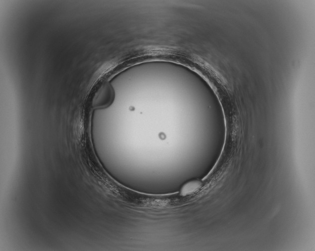 X0000116421261200912150951