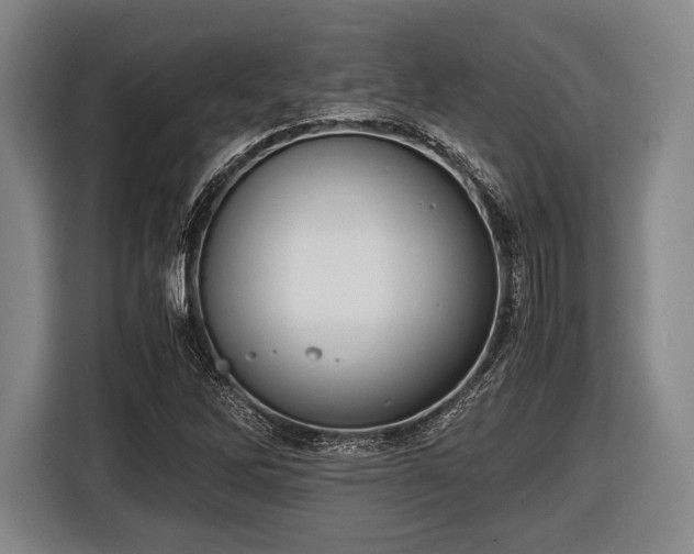 X0000116421262200912150951