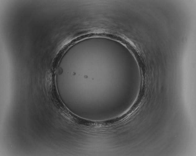 X0000116421263200912150951
