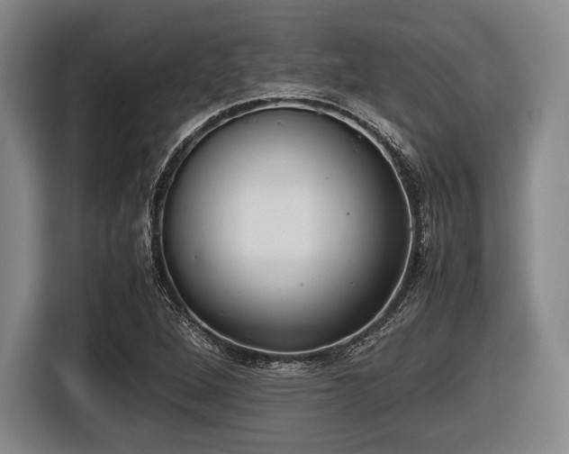 X0000116421264200912150951