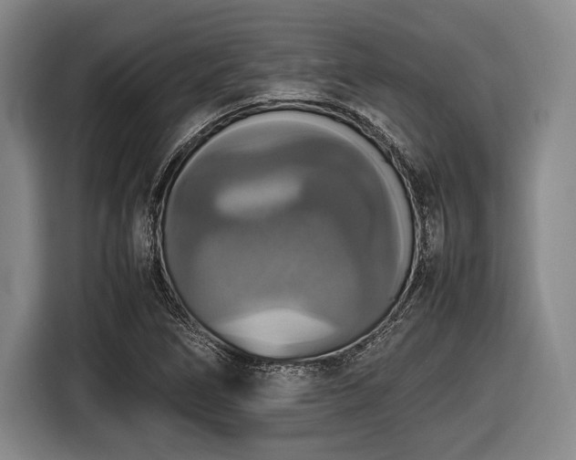 X0000116421266200912150951