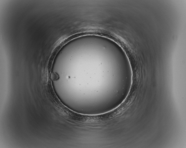 X0000116421267200912150951