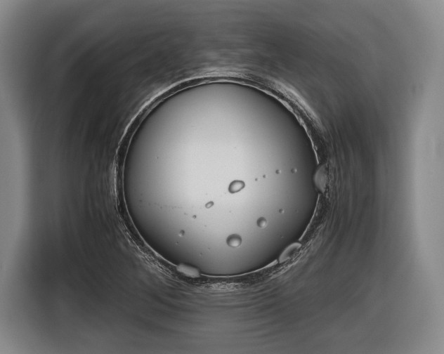 X0000116421268200912150951