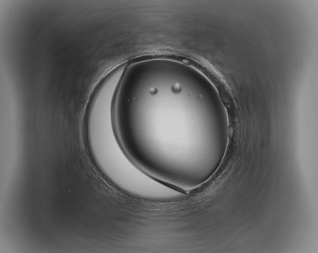 X0000116421269200912150951