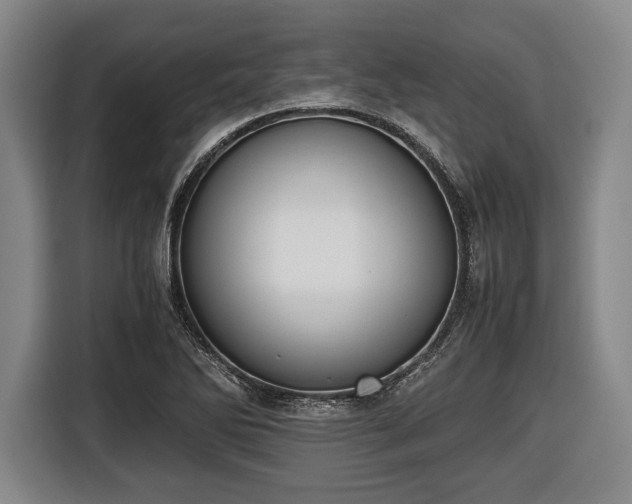 X0000116421270200912150951