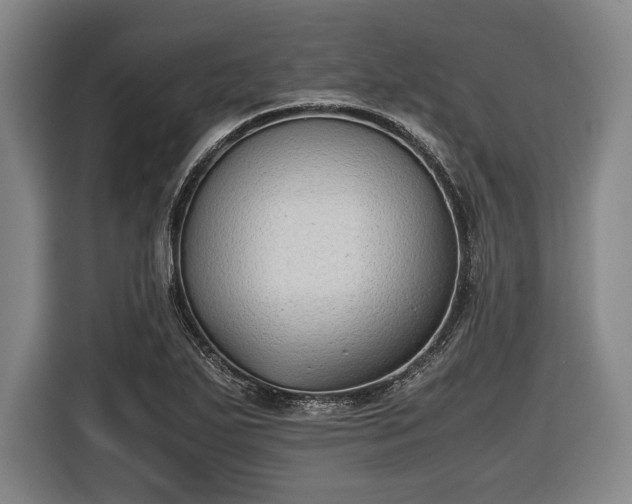 X0000116421271200912150951