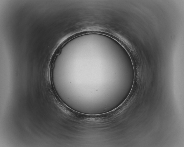 X0000116421272200912150951