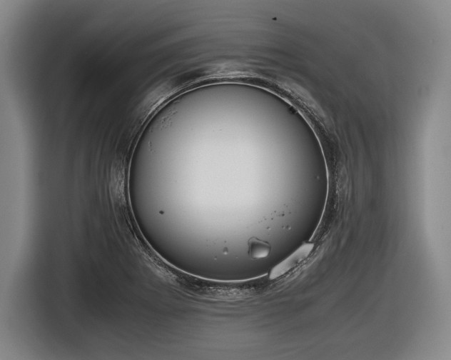 X0000116421273200912150951