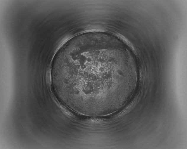 X0000116421274200912150951
