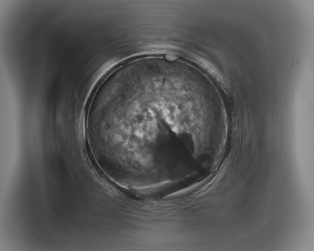 X0000116421275200912150951
