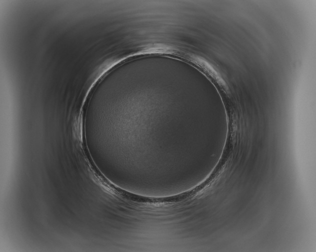 X0000116421276200912150951