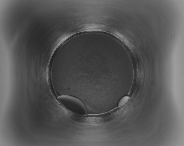 X0000116421277200912150951