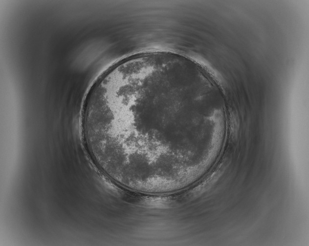 X0000116421278200912150951
