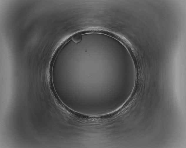 X0000116421279200912150951