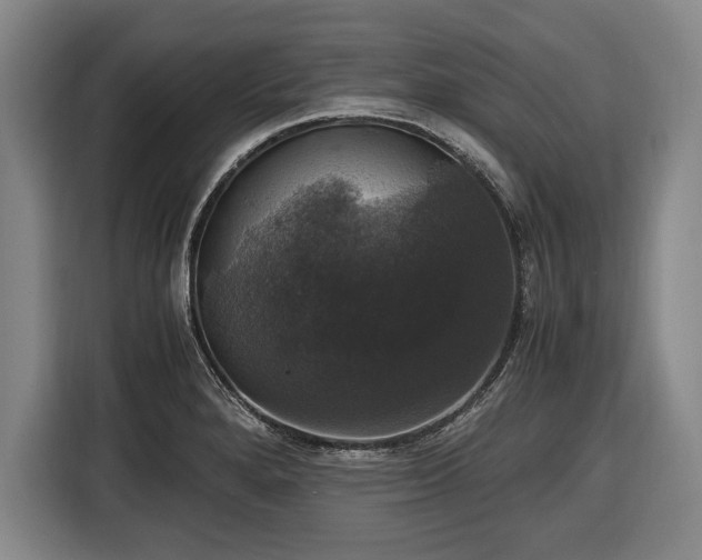 X0000116421280200912150951
