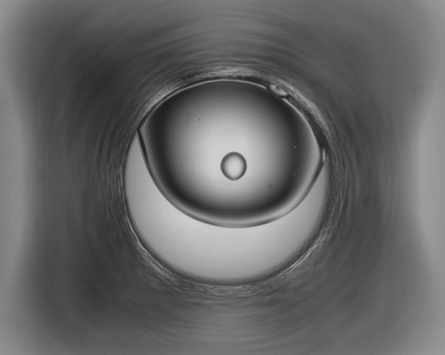X0000116421281200912150951