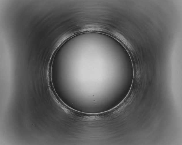 X0000116421282200912150951