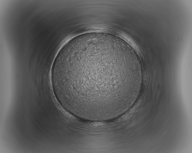X0000116421283200912150951
