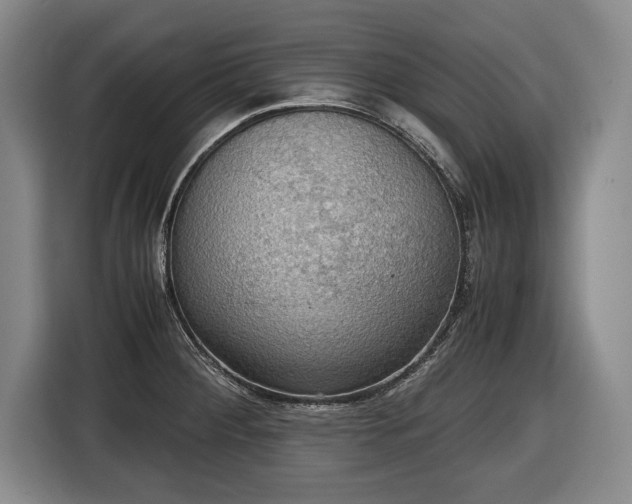X0000116421284200912150951