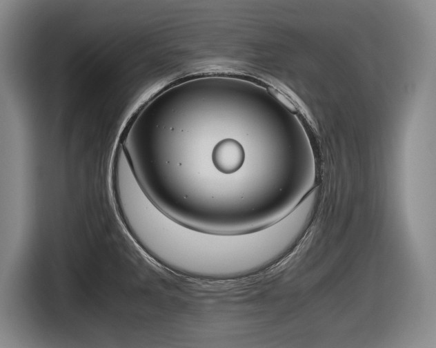 X0000116421285200912150951
