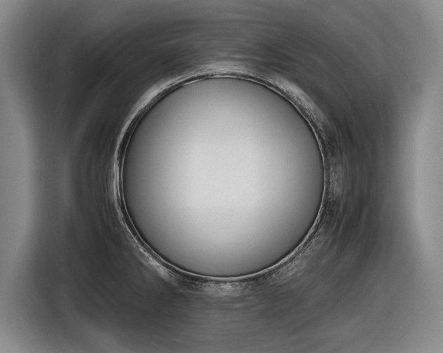 X0000116421286200912150951