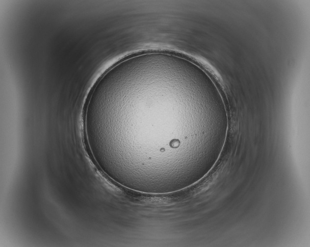 X0000116421287200912150951