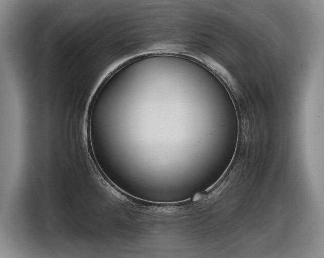 X0000116421288200912150951