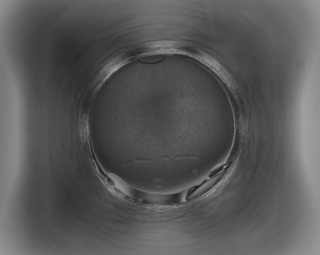 X0000116421289200912150951