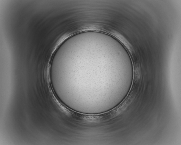 X0000116421290200912150951