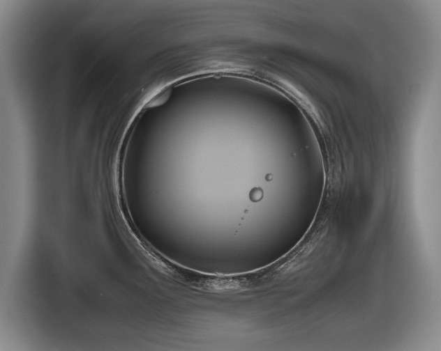 X0000116421291200912150951