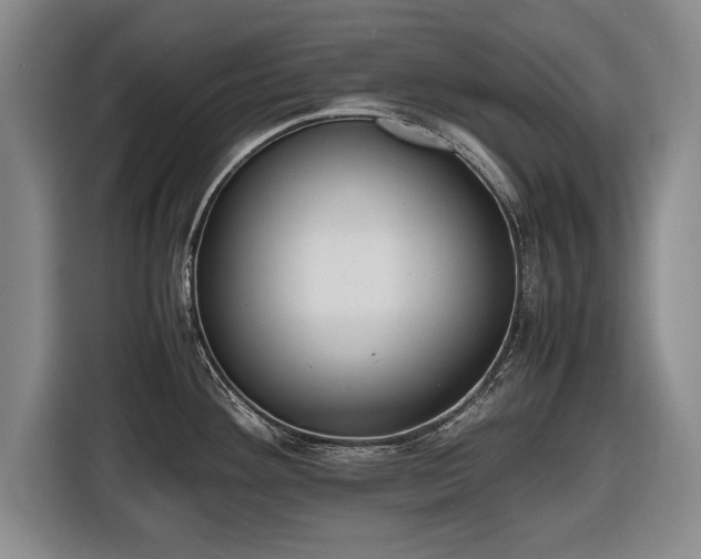 X0000116421292200912150951