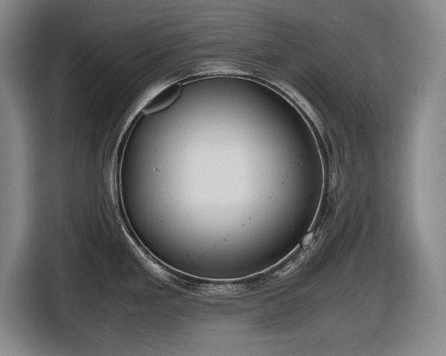 X0000116421293200912150951