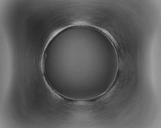 X0000116421295200912150951
