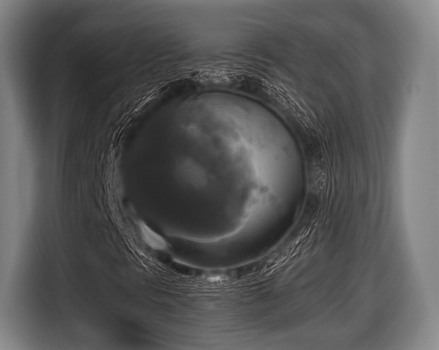 X0000116421297200912150950