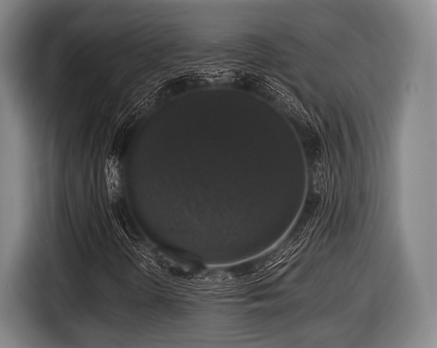 X0000116421298200912150950
