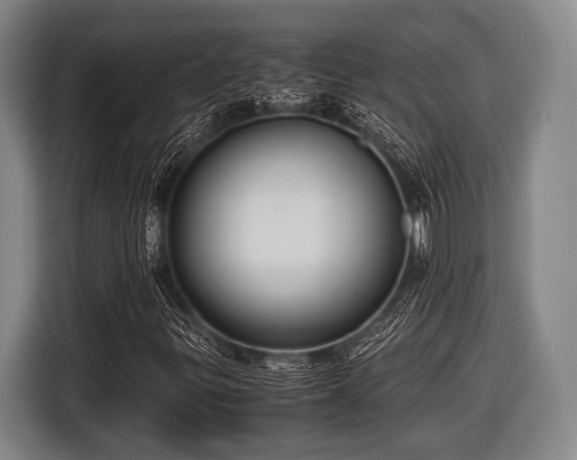 X0000116421299200912150950