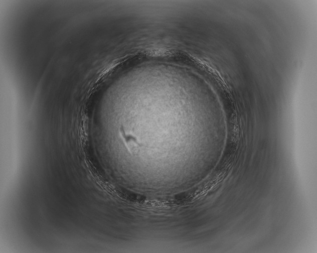 X0000116421301200912150950