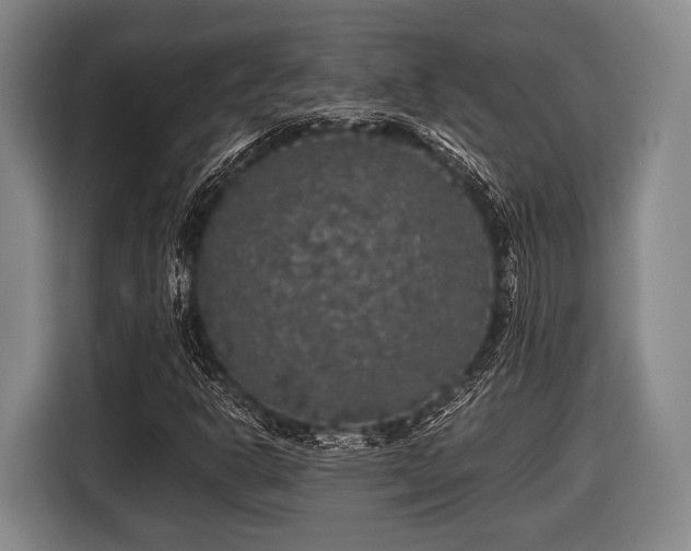 X0000116421302200912150950