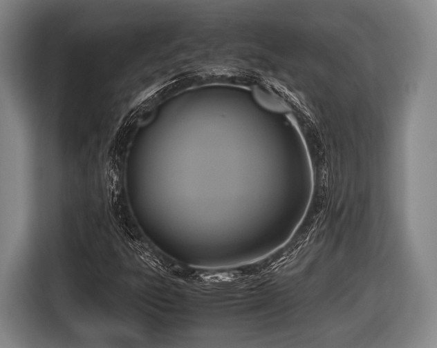 X0000116421303200912150950