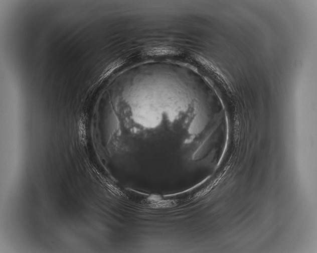X0000116421305200912150950