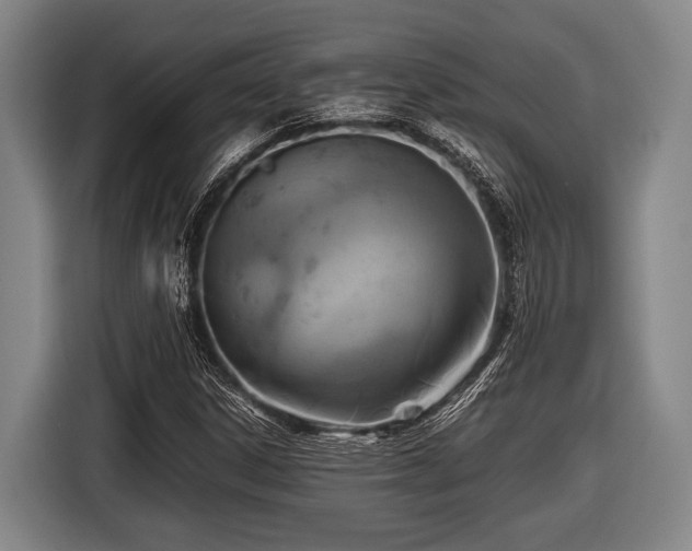 X0000116421306200912150950