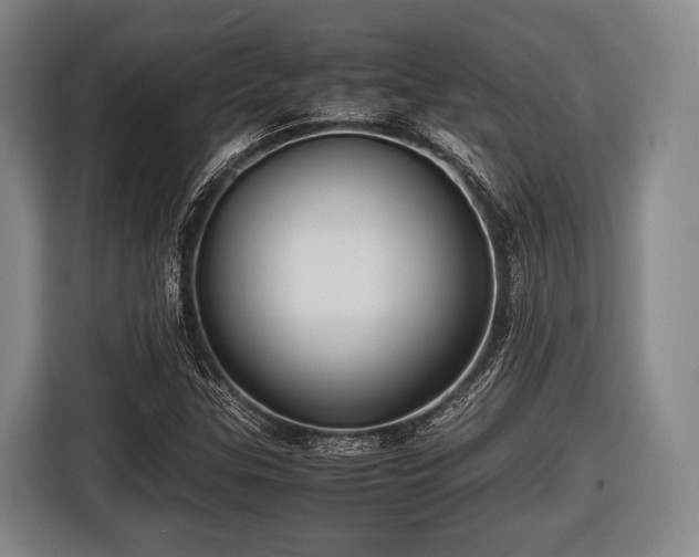 X0000116421307200912150950